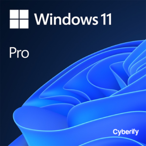 Windows 11 Professional